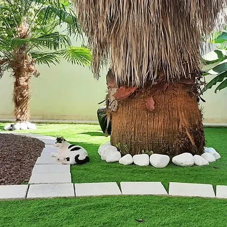 Belohorizonte Macerata