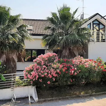 Belohorizonte 3* Macerata